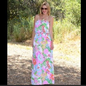 NWOT Lilly Pulitzer for Target Nosey Posey Dress